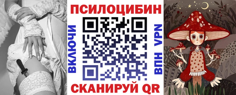 купить наркотик  Талица  Галлюциногенные грибы MAGIC MUSHROOMS 